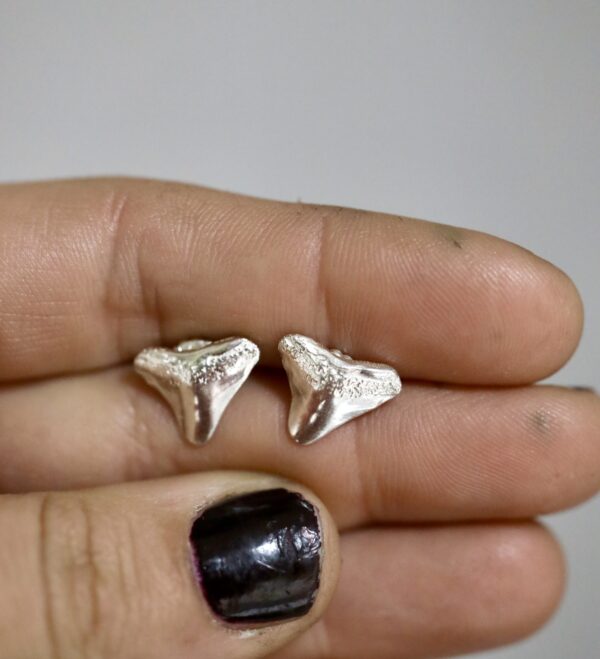 Shark tooth studs